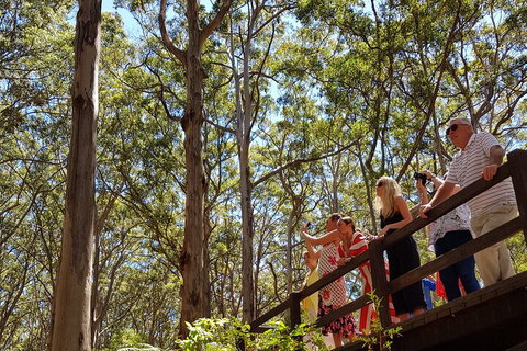 The All About Margaret River Tour: Wine, Coffee, Lunch And Forest - Attractions 3