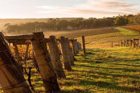 The All About Margaret River Tour: Wine, Coffee, Lunch And Forest - Attractions 5