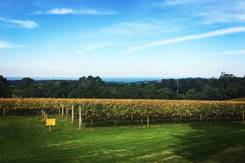 Yarra Valley Private Car Winery Tour And Chocolate.1-7 Passengers One Car Price - See Attractions 0