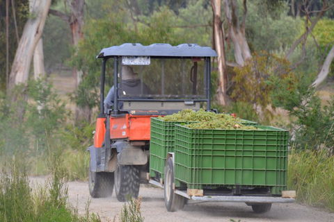 Yarra Valley Private Car Winery Tour And Chocolate.1-7 Passengers One Car Price - See Attractions 1