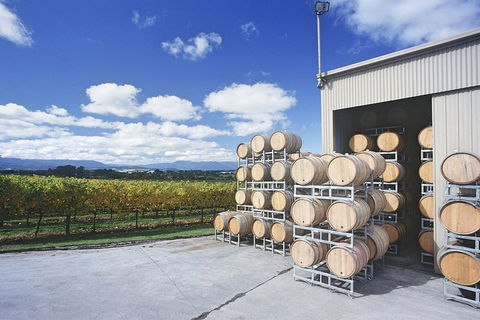 Yarra Valley Private Car Winery Tour And Chocolate.1-7 Passengers One Car Price - See Attractions 2