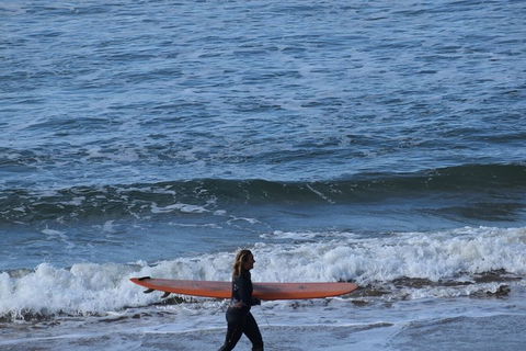 Private Day Tour Of Phillip Island Wildlife And Brighton Beach - Attractions 0