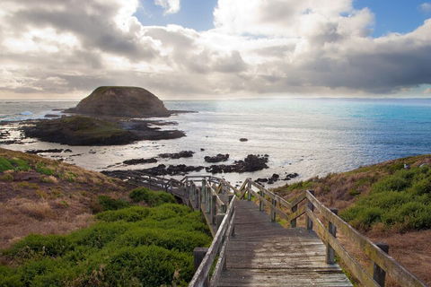 Private Day Tour Of Phillip Island Wildlife And Brighton Beach - Attractions 4