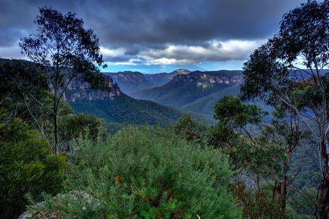 Ultimate Blue Mountains And Wildlife Tour - Attractions 1