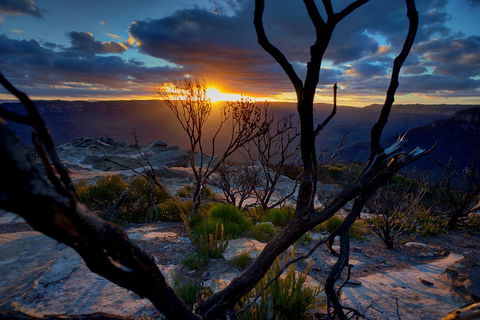 Ultimate Blue Mountains And Wildlife Tour - Attractions 2