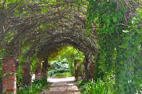 Barossa Valley Cellar Doors Luxury Wine Tour - Attractions 3