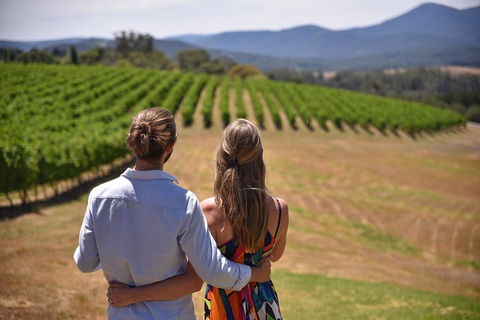 Yarra Valley Wine, Bubbles And Gin Tour! - See Attractions 4