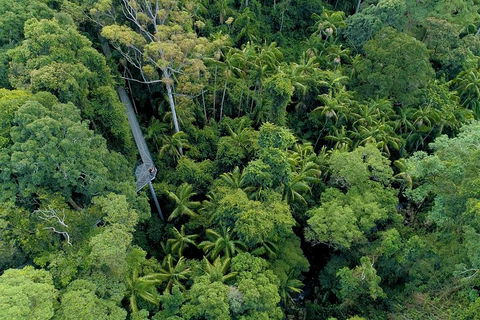 Natural Bridge, Skywalk And Mt Tamborine Adventure! - Attractions 2