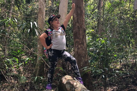 Natural Bridge, Skywalk And Mt Tamborine Adventure! - Attractions 3