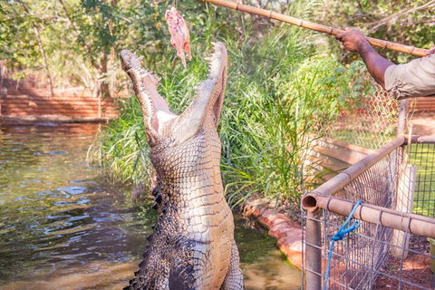 Malcolm Douglas Crocodile Park Tour Including Transportation - Attractions 5