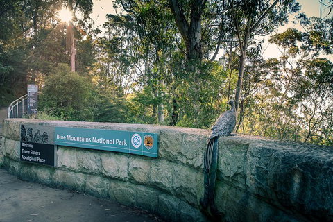 Ultimate Blue Mountains Waterfalls, Walks & Sunset PRIVATE Tour - Attractions 3