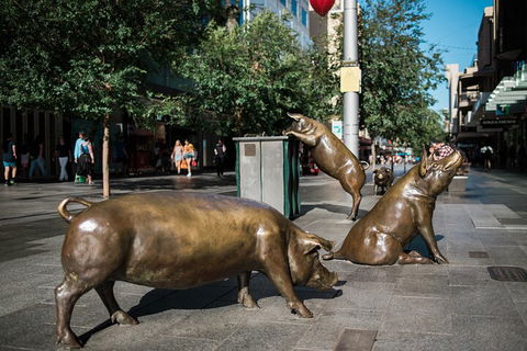 Guided Walking Tour In Adelaide - Attractions 4