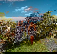 Barossa Valley Private Tour from 2 to 11 people - Attractions