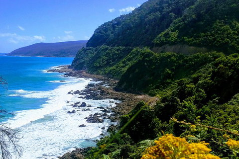 Great Ocean Road Adventure - Private Tour - Reverse - Attractions 3