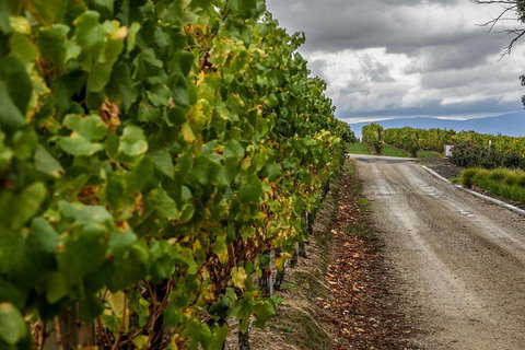 Yarra Valley Public Winery Tours - See Attractions 2