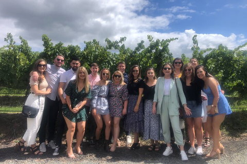 Yarra Valley Public Winery Tours - See Attractions 3