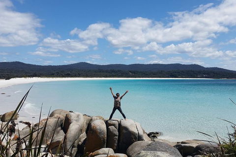 Tasmania 4 Day East Coast + Launceston - Attractions 1