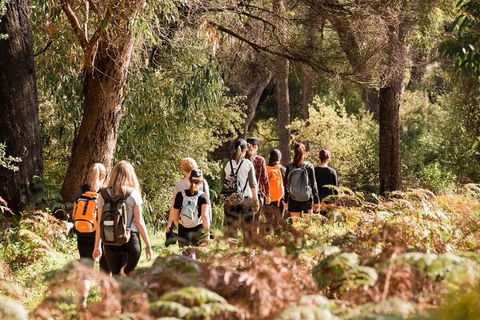 Half-Day Yanchep Ghost House Wilderness Guided Hike Tour - Attractions 0