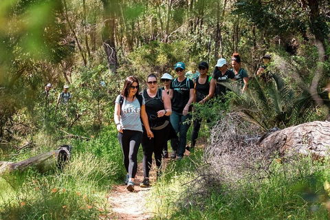 Half-Day Yanchep Ghost House Wilderness Guided Hike Tour - Attractions 3