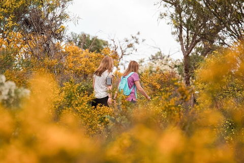 Half-Day Yanchep Ghost House Wilderness Guided Hike Tour - Attractions 4