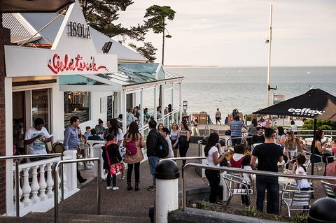 Phillip Island And French Island Wildlife Expedition - Attractions Las Vegas 0