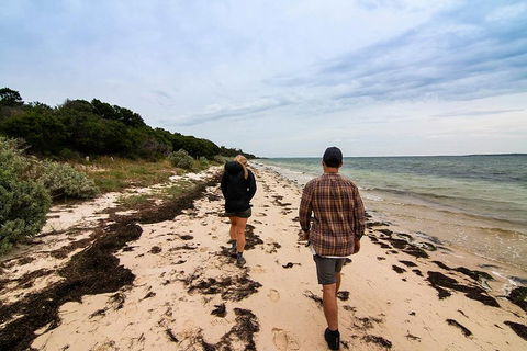 Phillip Island And French Island Wildlife Expedition - Attractions Las Vegas 1