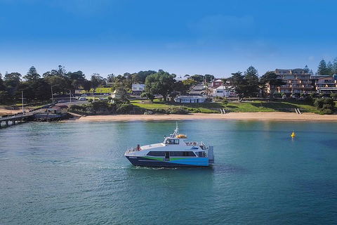 Phillip Island And French Island Wildlife Expedition - Attractions Las Vegas 2