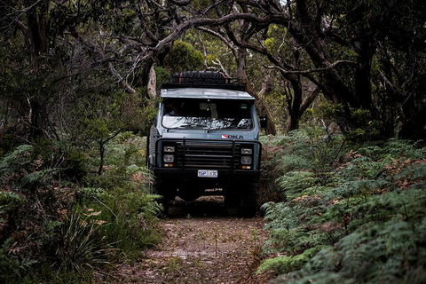 Phillip Island And French Island Wildlife Expedition - Attractions Las Vegas 4