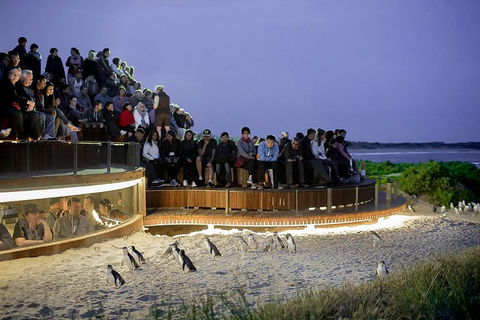 Phillip Island And French Island Wildlife Expedition - Attractions Las Vegas 5