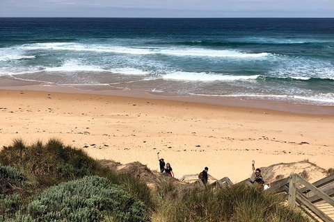 Phillip Island Penguins Private Tour - See Attractions 4