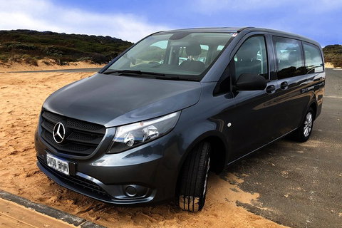 Phillip Island Penguins Private Tour - See Attractions 5