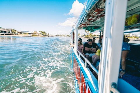 Aquaduck Sunshine Coast - Attractions 5