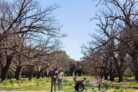 Adelaide 90-Minute Pedicab Tour: Scenic Green & River Experience - Attractions 1
