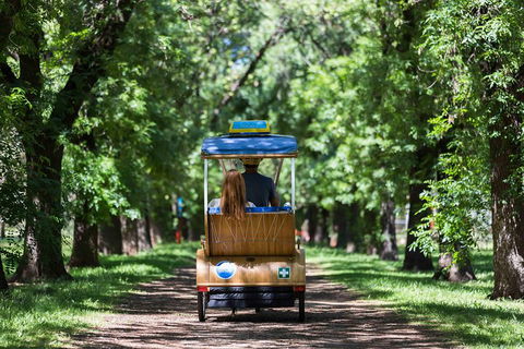 Adelaide 90-Minute Pedicab Tour: Scenic Green & River Experience - Attractions 2
