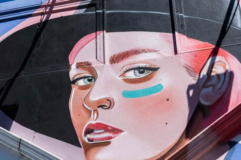 Adelaide 90-Minute Pedicab Tour: Street Art Experience - Attractions 1