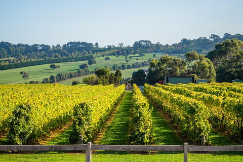 Private Tours From Melbourne - See Attractions 1