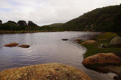 Private Tours From Melbourne - See Attractions 2