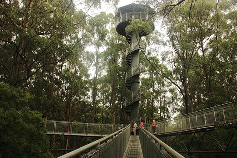 Private Tours From Melbourne - See Attractions 5