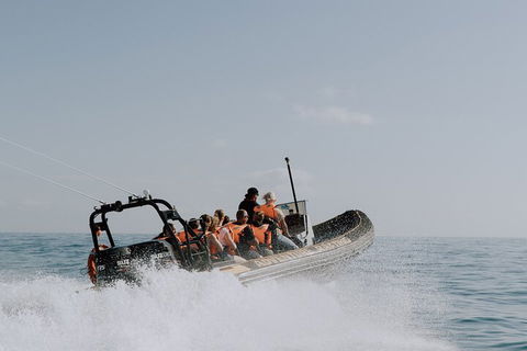 Adventure Rafting - Attractions 0