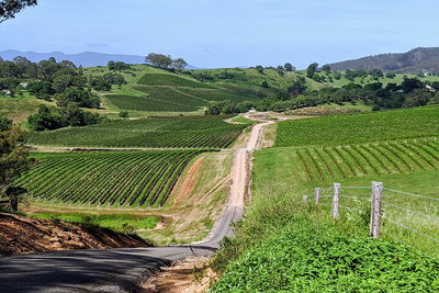 The Complete Hunter Valley Wine Tour of Pokolbin Mt View Lovedale and Rothbury