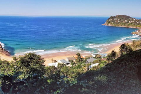 Manly & Sydney's Northern Beaches With 'Personalised Sydney Tours' - Attractions 2