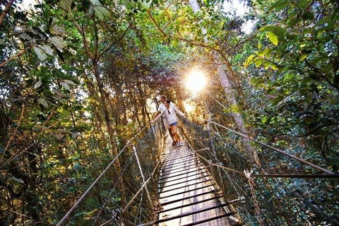 O'Reilly's & Lamington National Park From Brisbane - Attractions 5