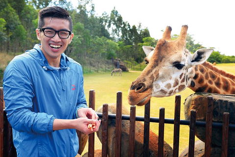 Croc Express To Australia Zoo From Gold Coast - Attractions 1