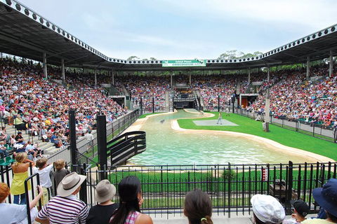 Croc Express To Australia Zoo From Gold Coast - Attractions 2