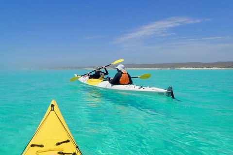 Lagoon Explorer - Ningaloo Reef Full-Day Kayaking And Snorkeling Adventure - Attractions 0