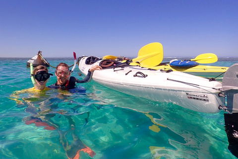 Lagoon Explorer - Ningaloo Reef Full-Day Kayaking And Snorkeling Adventure - Attractions 3