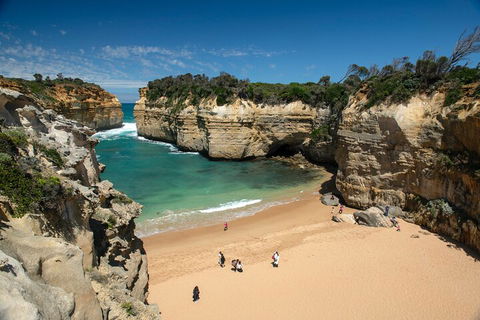 LGBT+ Friendly 12-Hour Great Ocean Road Private Tour - Attractions 5