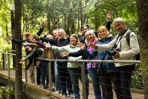 All Inclusive Blue Mountains Small-Group Day Trip From Sydney - Attractions 5