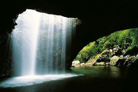 Natural Bridge & Springbrook Waterfalls Tour - Attractions 0
