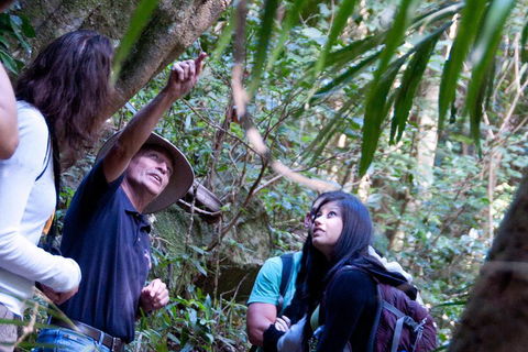 Natural Bridge & Springbrook Waterfalls Tour - Attractions 4